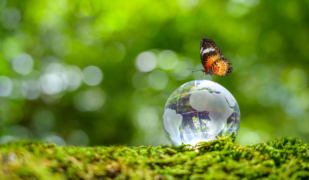 地球を模した、クリスタル状のきれいなボールの上に蝶々がとまっている